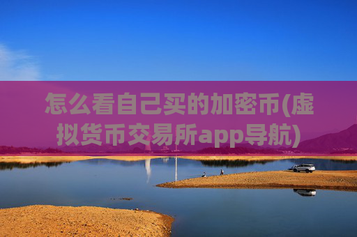 怎么看自己买的加密币(虚拟货币交易所app导航)