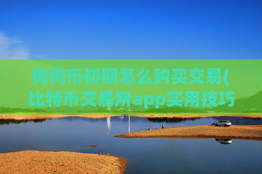 狗狗币初期怎么购买交易(比特币交易所app实用技巧)