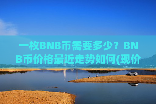 一枚BNB币需要多少？BNB币价格最近走势如何(现价4846.55元)