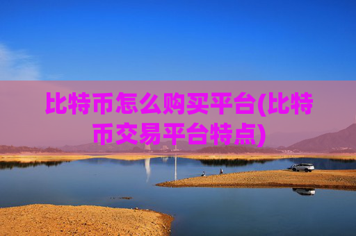 比特币怎么购买平台(比特币交易平台特点)