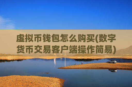 虚拟币钱包怎么购买(数字货币交易客户端操作简易)