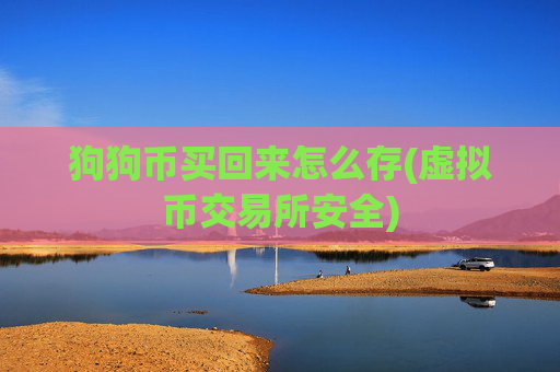 狗狗币买回来怎么存(虚拟币交易所安全)