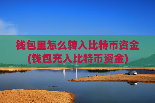 钱包里怎么转入比特币资金(钱包充入比特币资金)