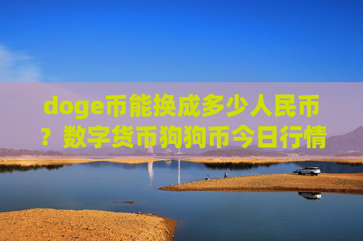 doge币能换成多少人民币？数字货币狗狗币今日行情(现价3.1514元)