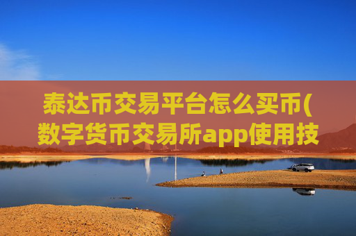 泰达币交易平台怎么买币(数字货币交易所app使用技巧)