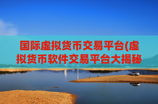 国际虚拟货币交易平台(虚拟货币软件交易平台大揭秘)