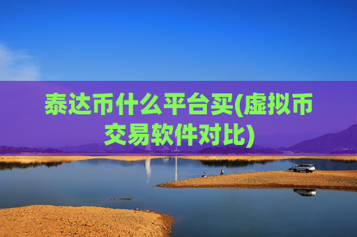 泰达币什么平台买(虚拟币交易软件对比)