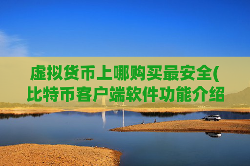 虚拟货币上哪购买最安全(比特币客户端软件功能介绍)