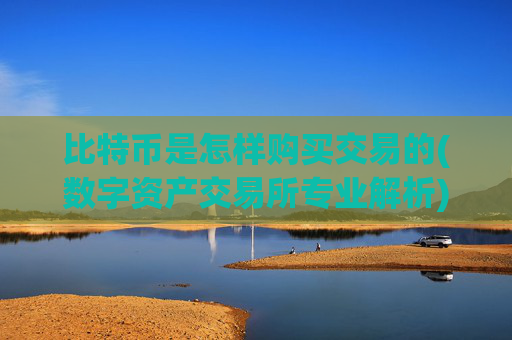 比特币是怎样购买交易的(数字资产交易所专业解析)