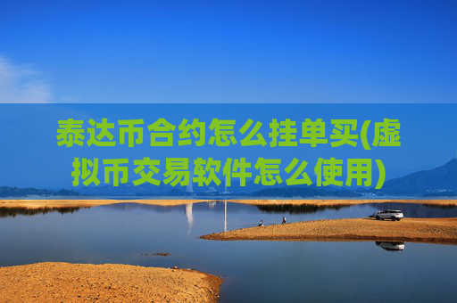 泰达币合约怎么挂单买(虚拟币交易软件怎么使用)