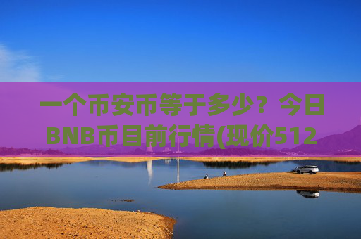 一个币安币等于多少?今日BNB币目前行情(现价5121.15元)