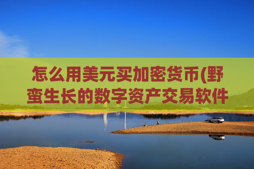 怎么用美元买加密货币(野蛮生长的数字资产交易软件)