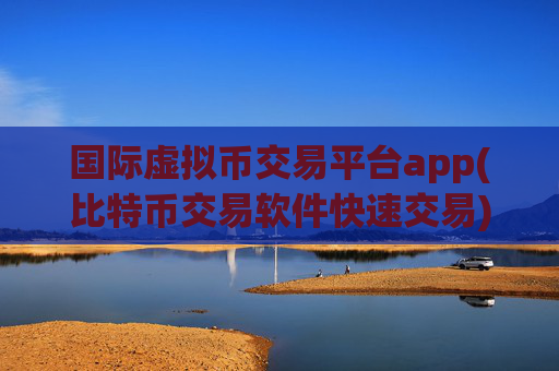 国际虚拟币交易平台app(比特币交易软件快速交易)
