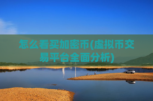 怎么看买加密币(虚拟币交易平台全面分析)