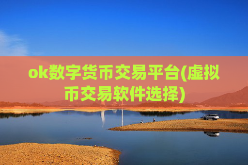 ok数字货币交易平台(虚拟币交易软件选择)