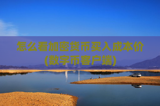 怎么看加密货币买入成本价(数字币客户端)