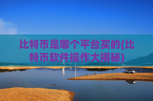 比特币是哪个平台买的(比特币软件操作大揭秘)