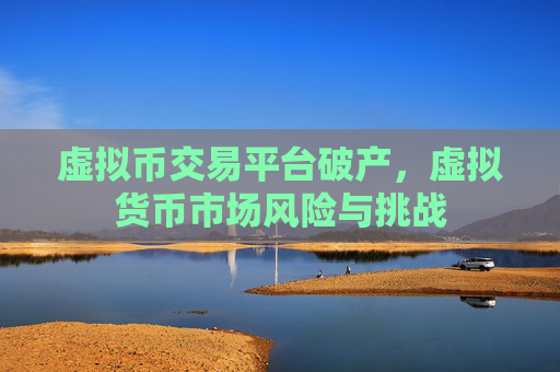 虚拟币交易平台破产，虚拟货币市场风险与挑战