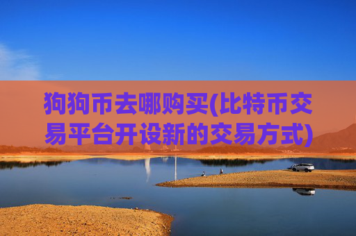 狗狗币去哪购买(比特币交易平台开设新的交易方式)