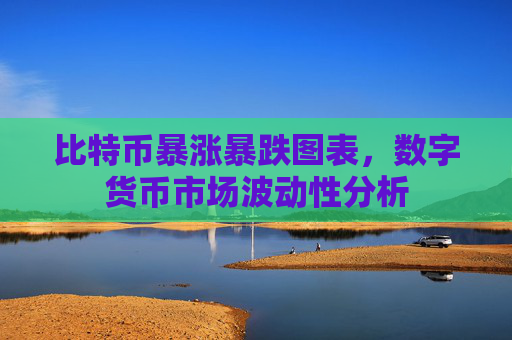 比特币暴涨暴跌图表，数字货币市场波动性分析