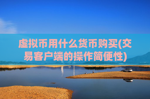 虚拟币用什么货币购买(交易客户端的操作简便性)