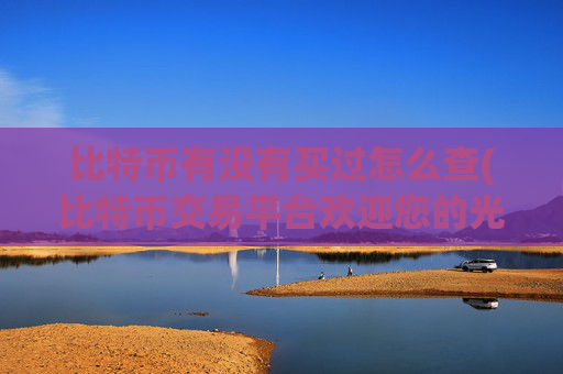 比特币有没有买过怎么查(比特币交易平台欢迎您的光临)