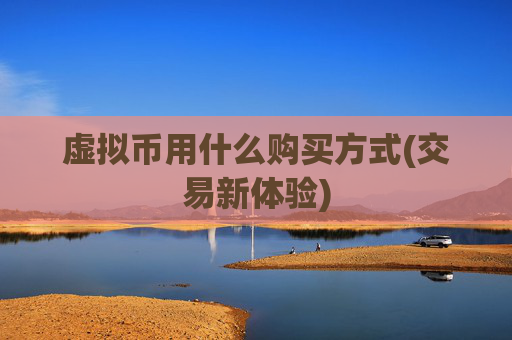 虚拟币用什么购买方式(交易新体验)