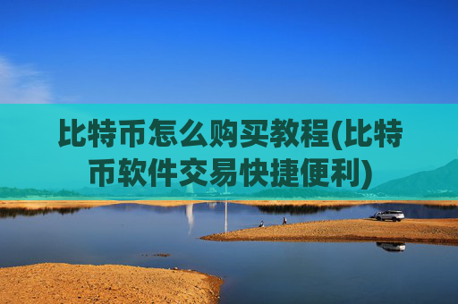 比特币怎么购买教程(比特币软件交易快捷便利)