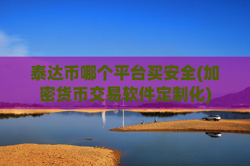 泰达币哪个平台买安全(加密货币交易软件定制化)