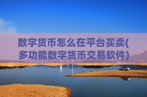 数字货币怎么在平台买卖(多功能数字货币交易软件)