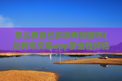 怎么看自己买没有加密币(比特币交易app安全性评估)