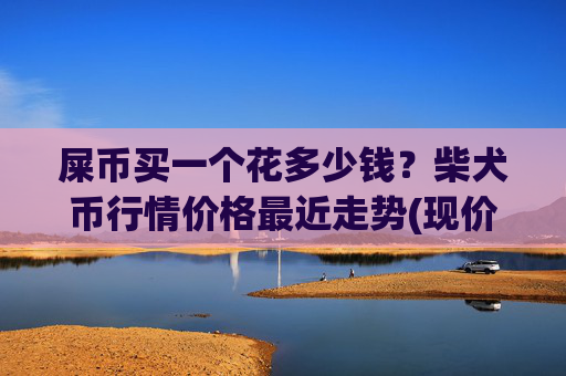 屎币买一个花多少钱？柴犬币行情价格最近走势(现价0.00022224元)