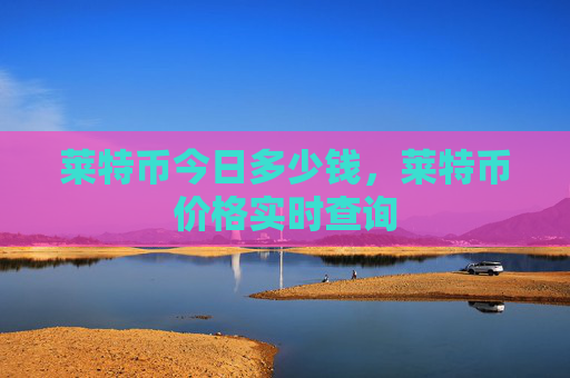 莱特币今日多少钱，莱特币价格实时查询