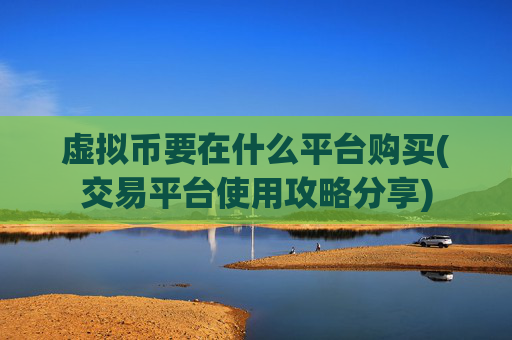 虚拟币要在什么平台购买(交易平台使用攻略分享)