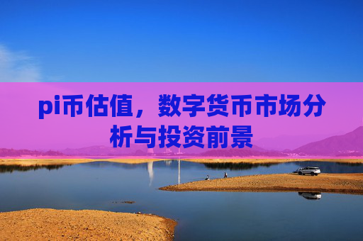 pi币估值，数字货币市场分析与投资前景