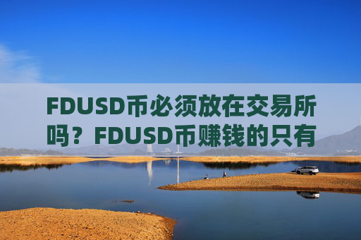 FDUSD币必须放在交易所吗？FDUSD币赚钱的只有交易网站