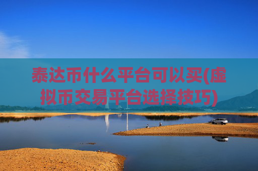 泰达币什么平台可以买(虚拟币交易平台选择技巧)