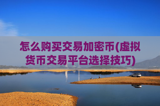怎么购买交易加密币(虚拟货币交易平台选择技巧)