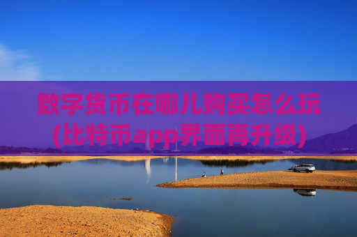 数字货币在哪儿购买怎么玩(比特币app界面再升级)