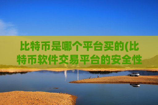 比特币是哪个平台买的(比特币软件交易平台的安全性评估)