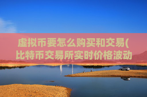 虚拟币要怎么购买和交易(比特币交易所实时价格波动)