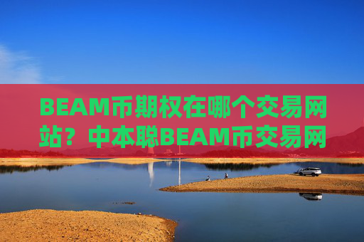 BEAM币期权在哪个交易网站？中本聪BEAM币交易网站