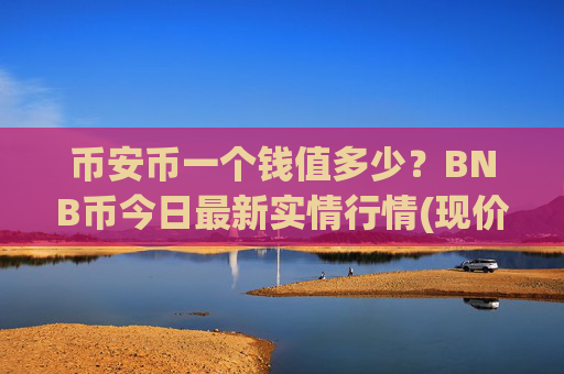 币安币一个钱值多少?BNB币今日最新实情行情(现价5168.93元)