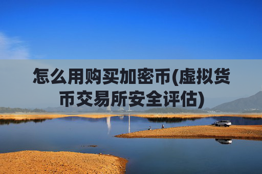 怎么用购买加密币(虚拟货币交易所安全评估)