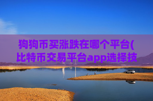 狗狗币买涨跌在哪个平台(比特币交易平台app选择技巧)