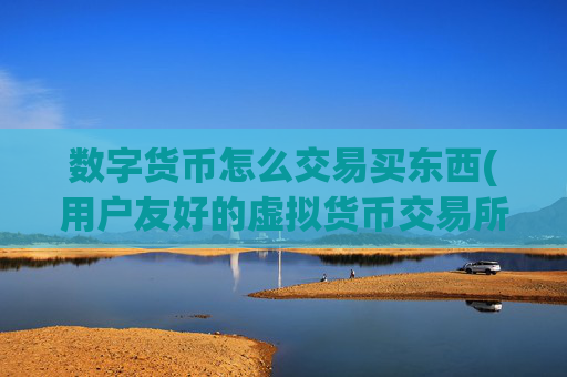 数字货币怎么交易买东西(用户友好的虚拟货币交易所app)