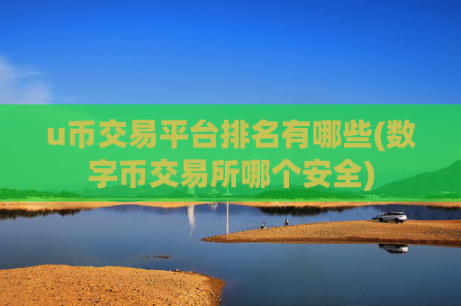 u币交易平台排名有哪些(数字币交易所哪个安全)