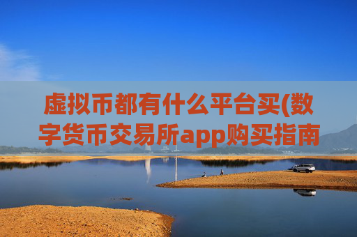 虚拟币都有什么平台买(数字货币交易所app购买指南)