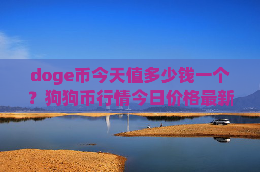 doge币今天值多少钱一个？狗狗币行情今日价格最新(现价3.1241元)