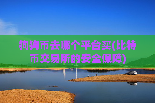 狗狗币去哪个平台买(比特币交易所的安全保障)